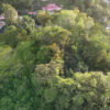 TERRAIN 1671 m² EN HAUT DE MORNE FACE ZONE NATURELLE A 5 mn BOURG ABYMES 120 000 € – Image 5